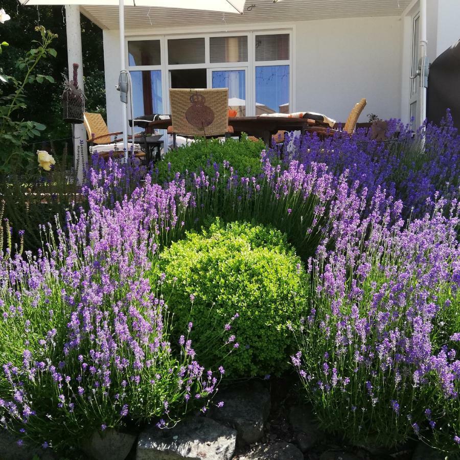 Ferienwohnung am Benther Berg Gehrden  Exterior foto